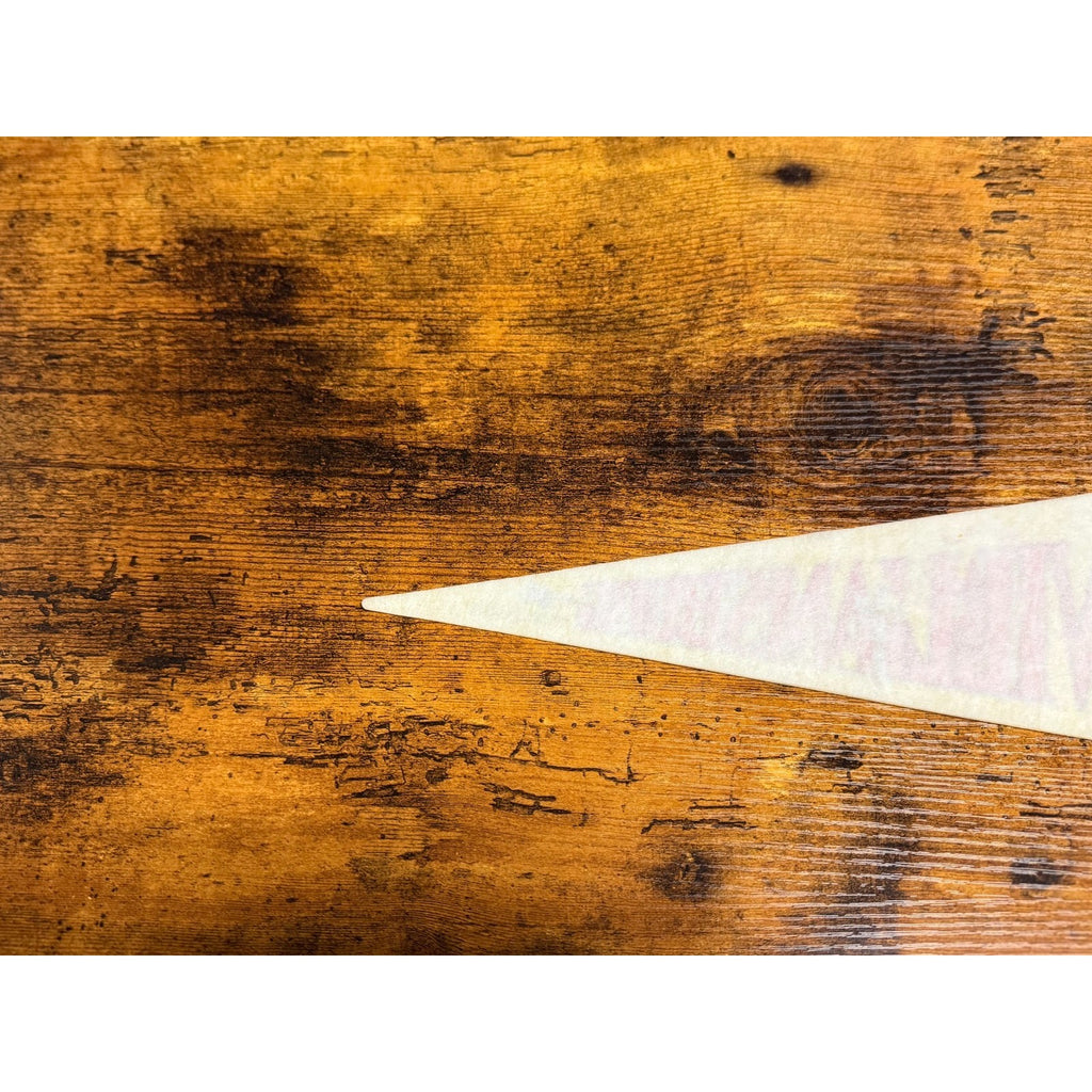 Vintage Williamsburg, Virginia pennant