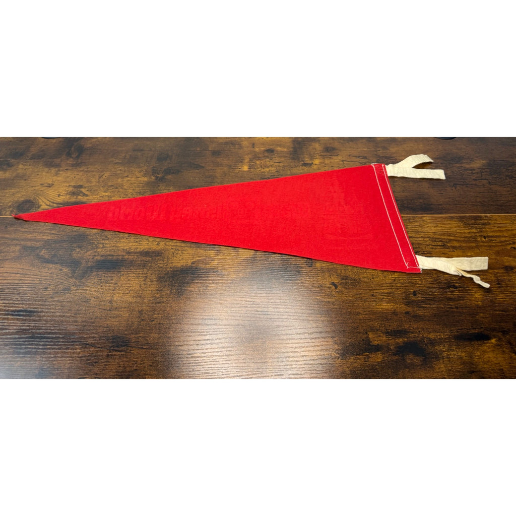 Vintage Walt Disney World Red Felt Pennant With Castle Graphic