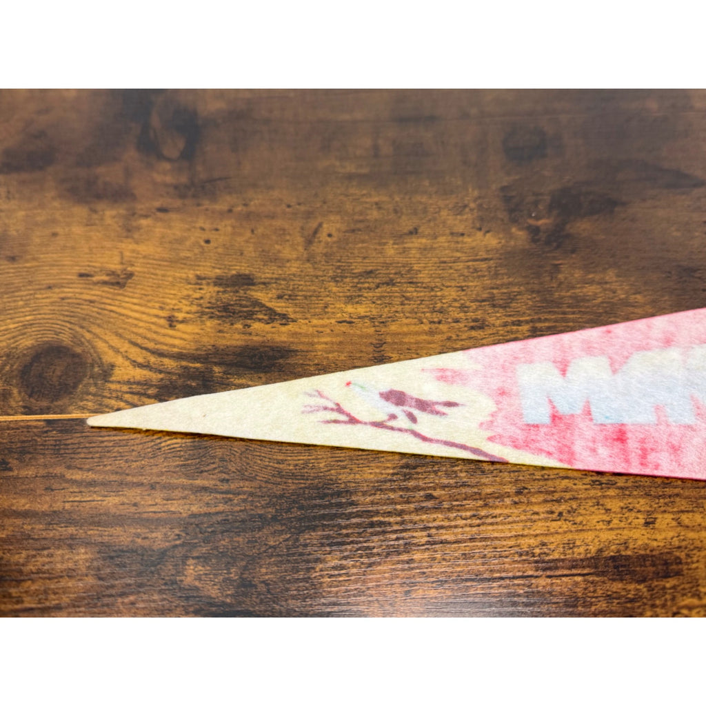 Vintage Hoover Dam Souvenir Pennant Featuring Scenic Artwork 25 inches