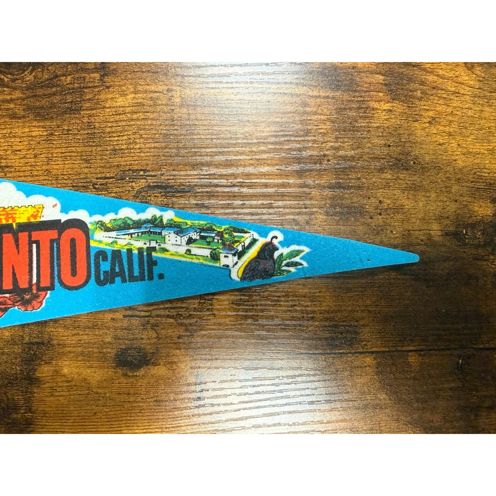 Vintage Sacramento, California pennant