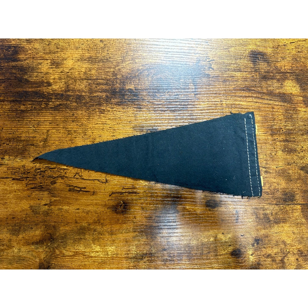 Vintage Miami Beach, Florida mini pennant