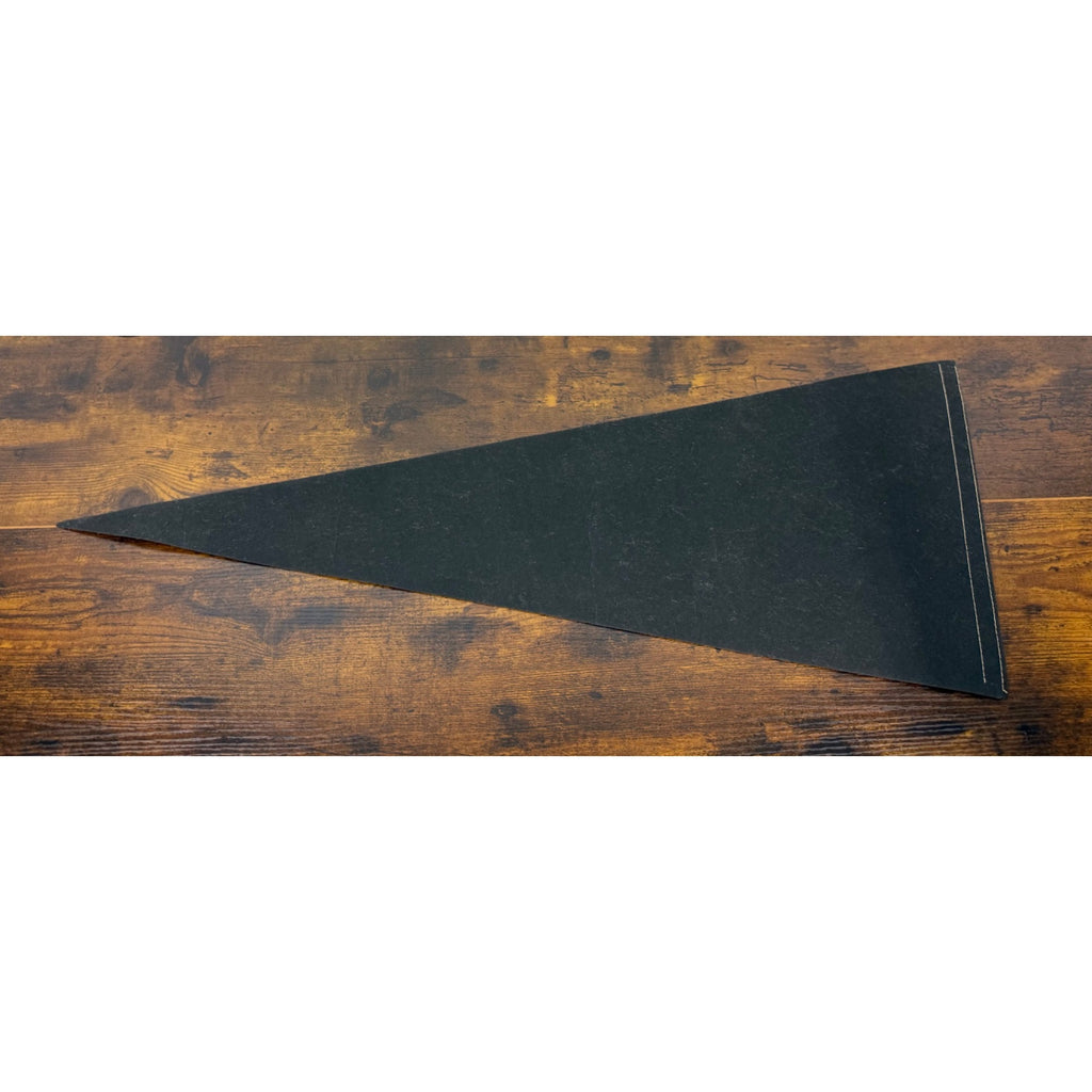 Oakland Raiders Super Bowl XI Champions Collectible Felt Pennant NFL Memorabilia
