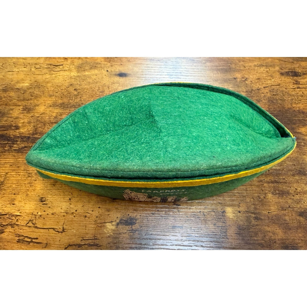 Vintage Shenandoah Caverns, Va felt hat