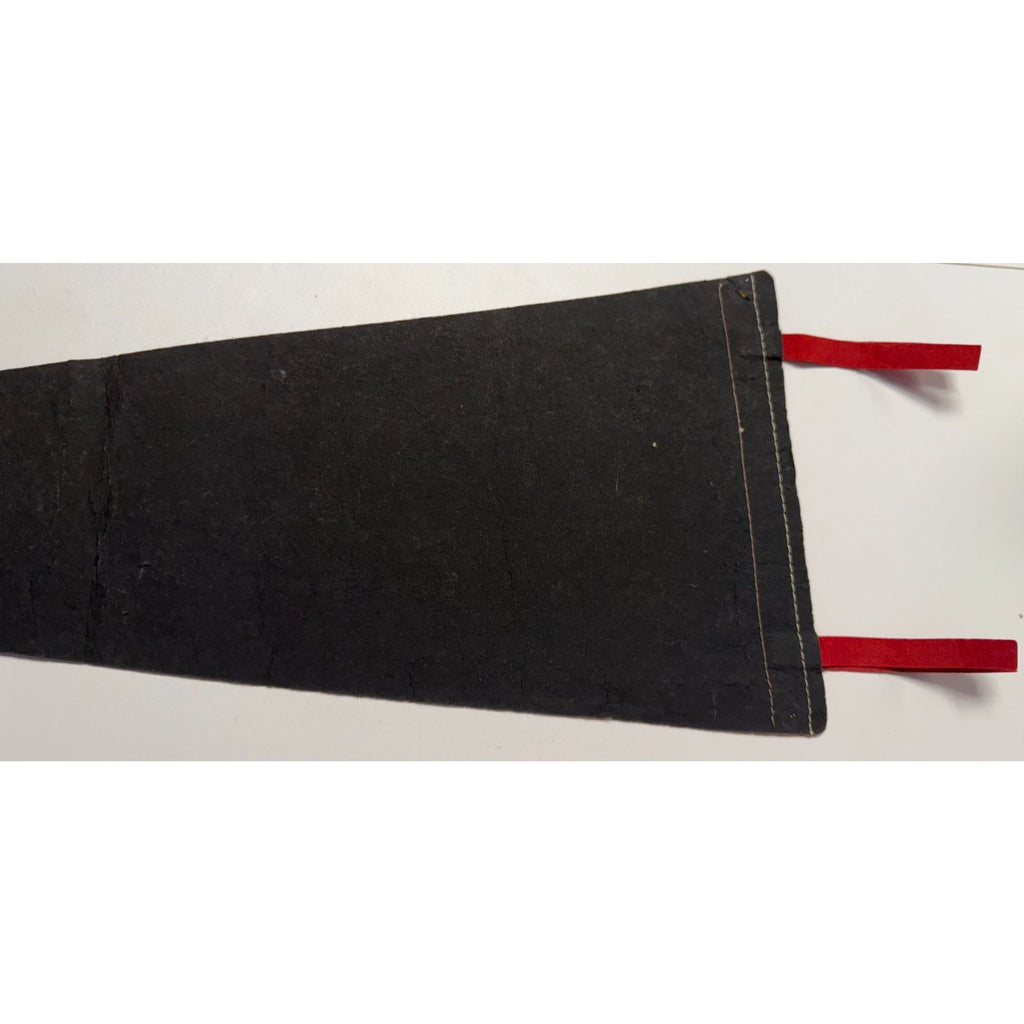 Vintage Hoover Dam pennant