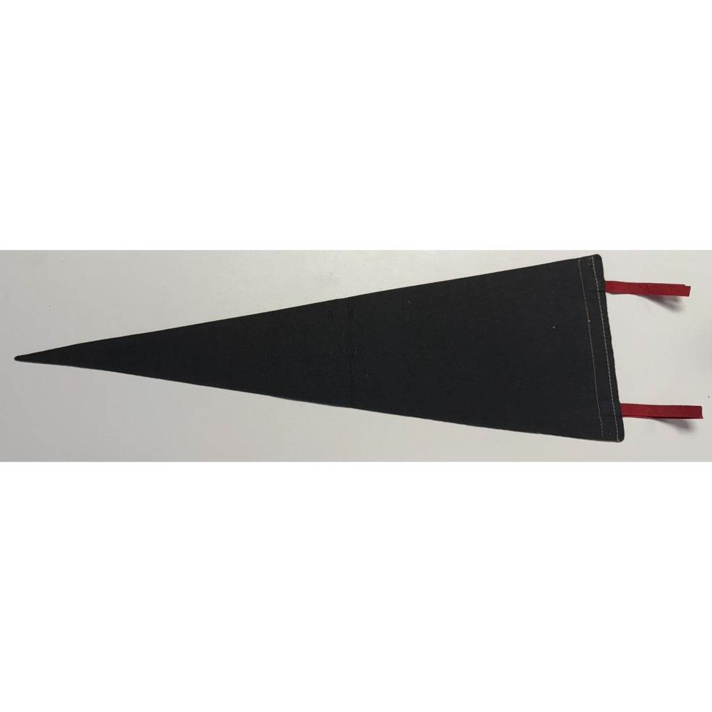 Vintage Hoover Dam pennant