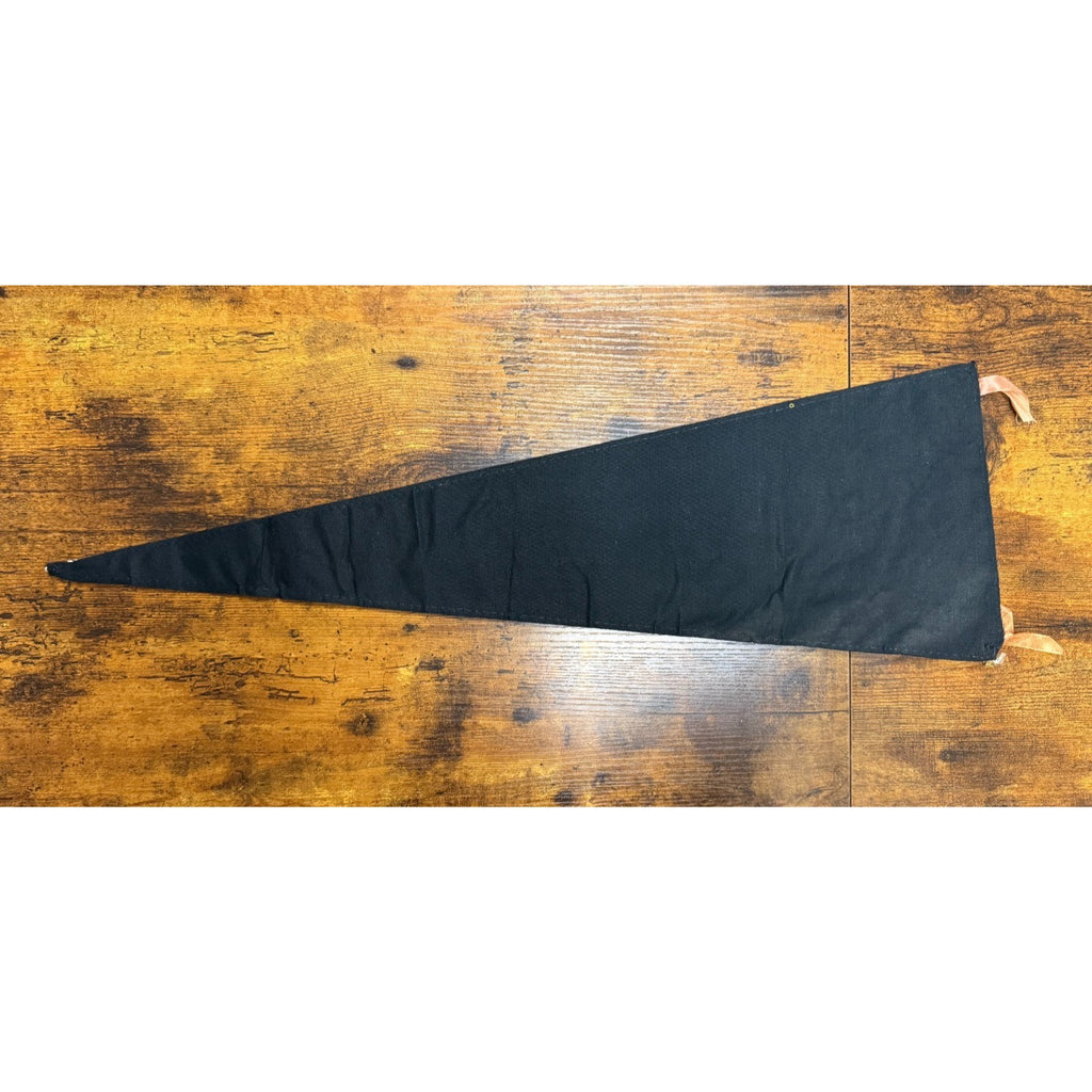 Vintage Hawaii The 50th State pennant