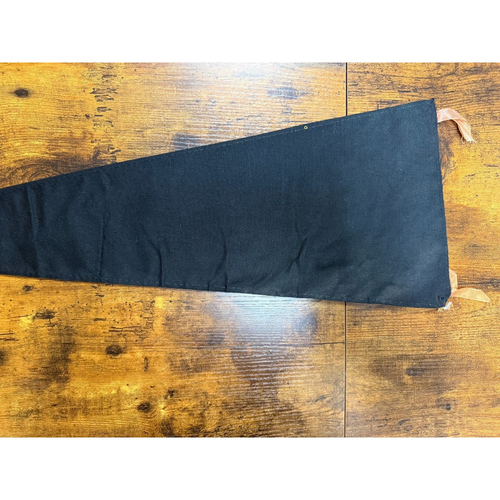 Vintage Hawaii The 50th State pennant