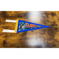 Vintage Florida pennant