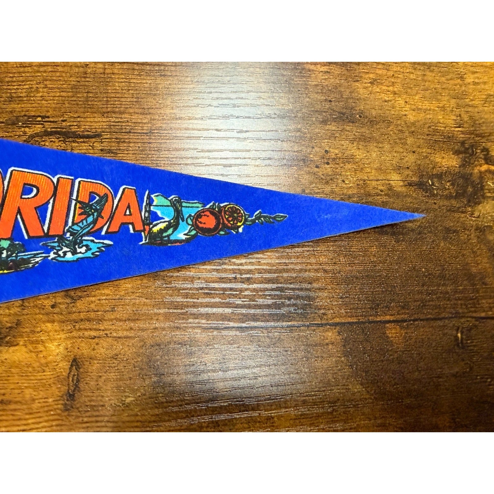 Vintage Florida pennant