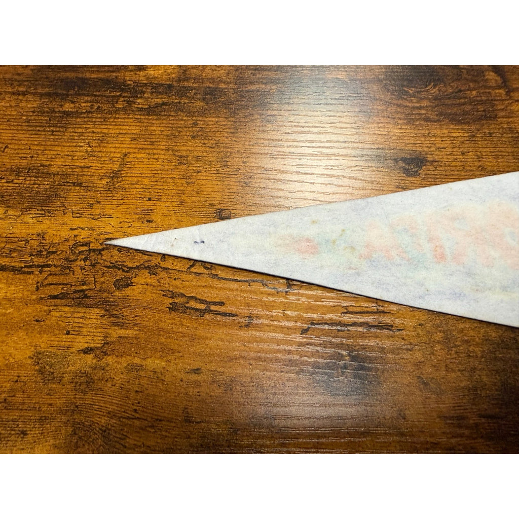 Vintage Florida pennant