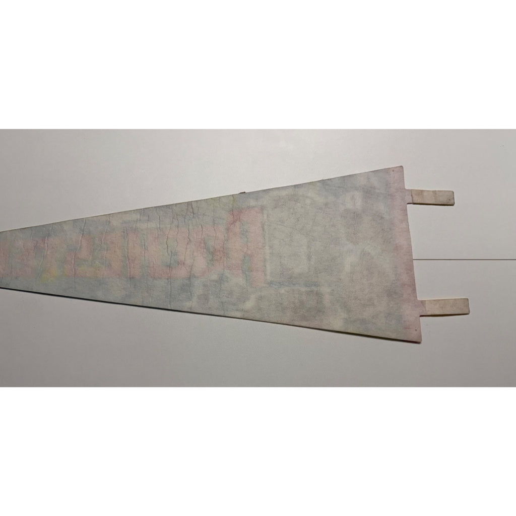 Vintage Rochester Minnesota pennant