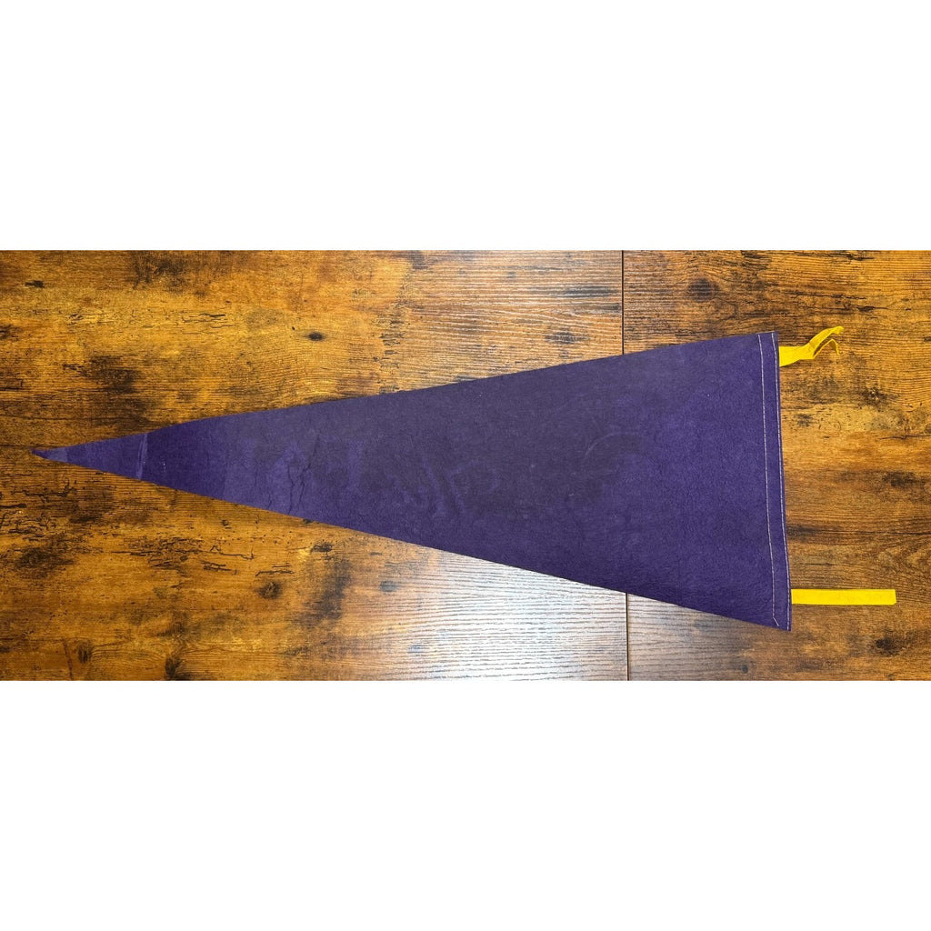 Vintage Souvenir of The Fair pennant