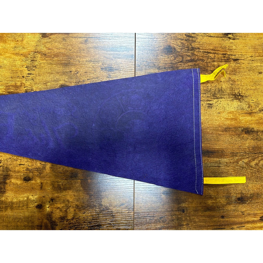Vintage Souvenir of The Fair pennant