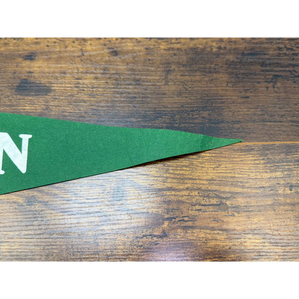 Vintage Austin Texas Felt Pennant With Texas State Capitol Design 27.5 inches
