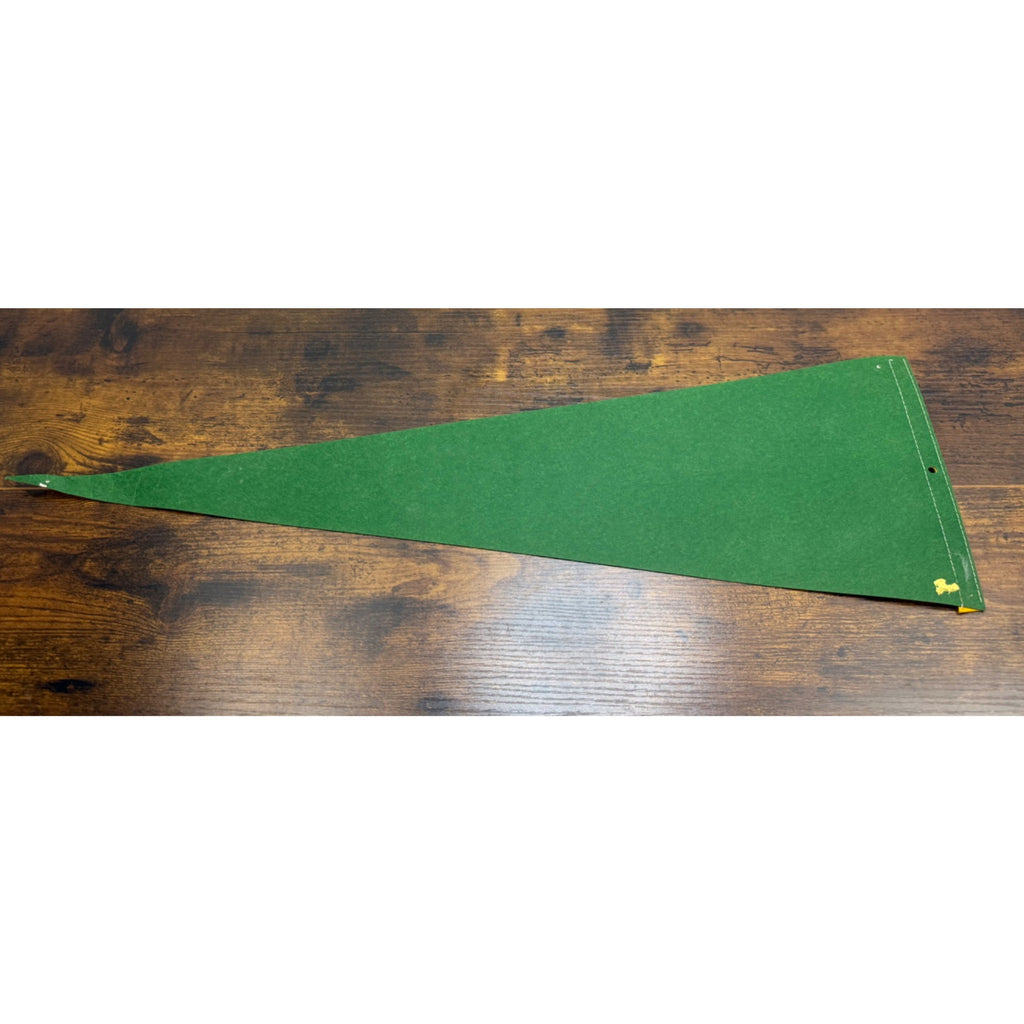 Vintage Austin Texas Felt Pennant With Texas State Capitol Design 27.5 inches