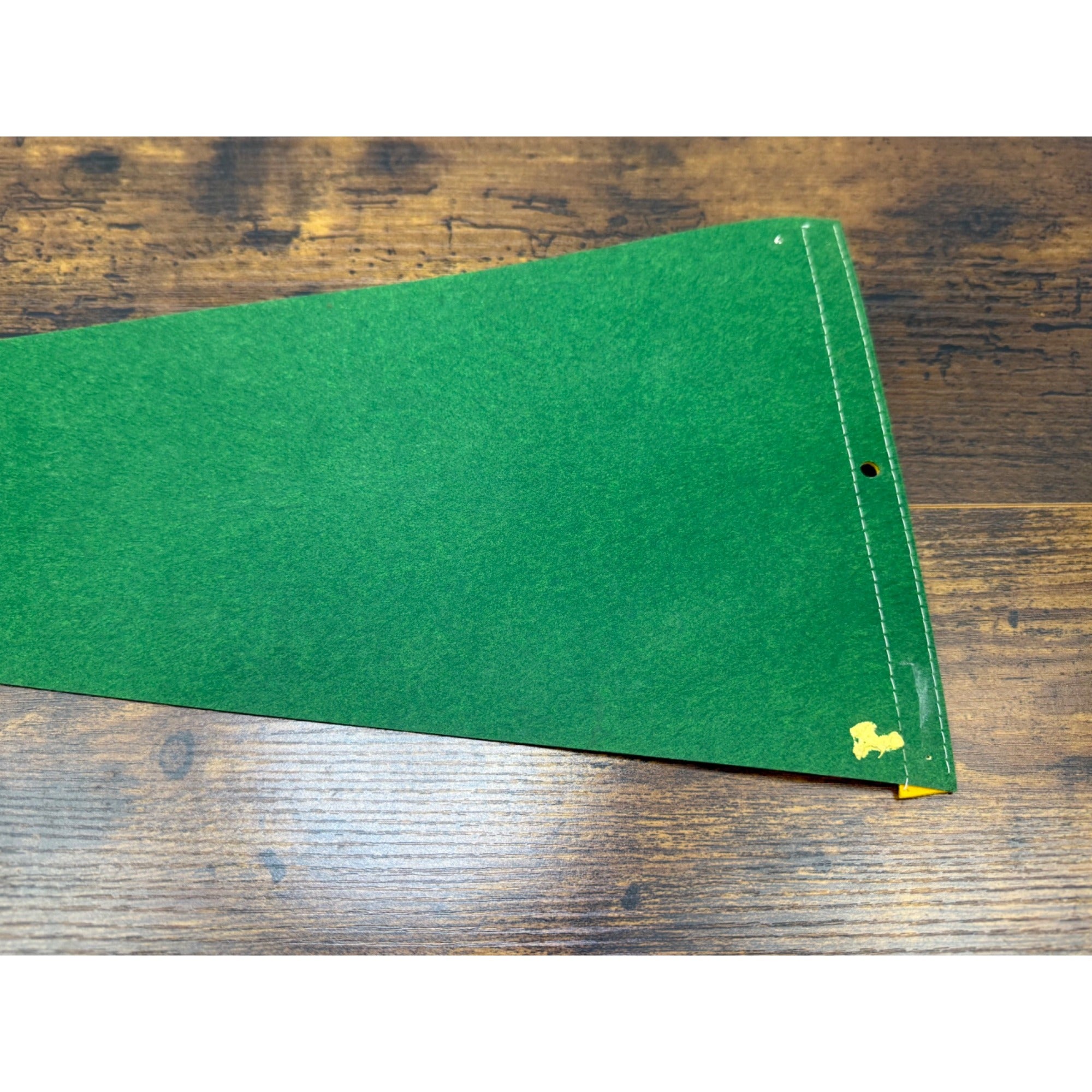 Vintage Austin Texas Felt Pennant With Texas State Capitol Design 27.5 inches