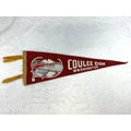 Vintage Coulee Dam Washington pennant