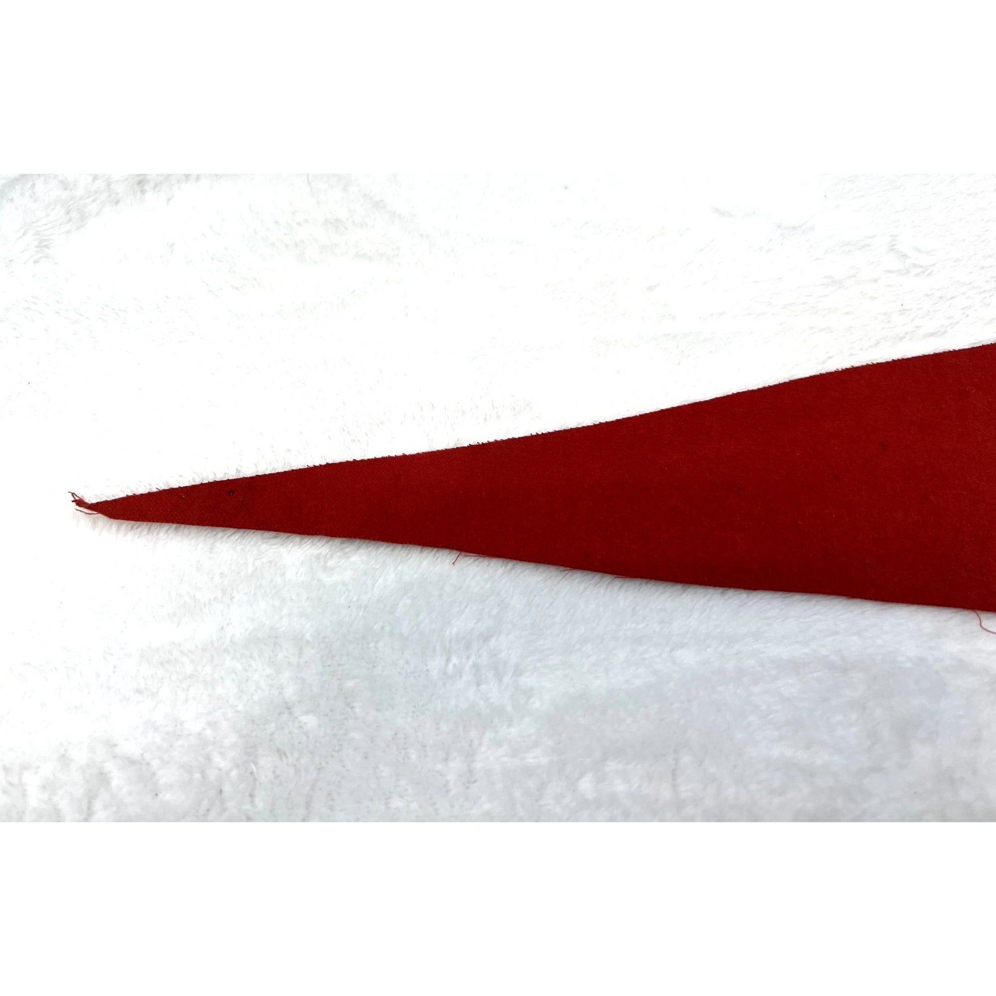 Vintage Coulee Dam Washington pennant