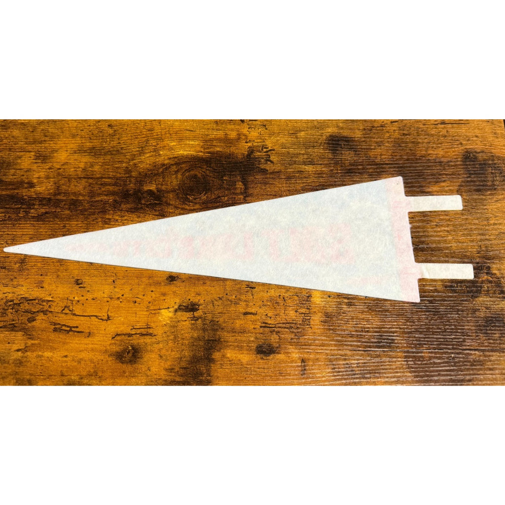 Vintage Salt Lake City, Utah pennant