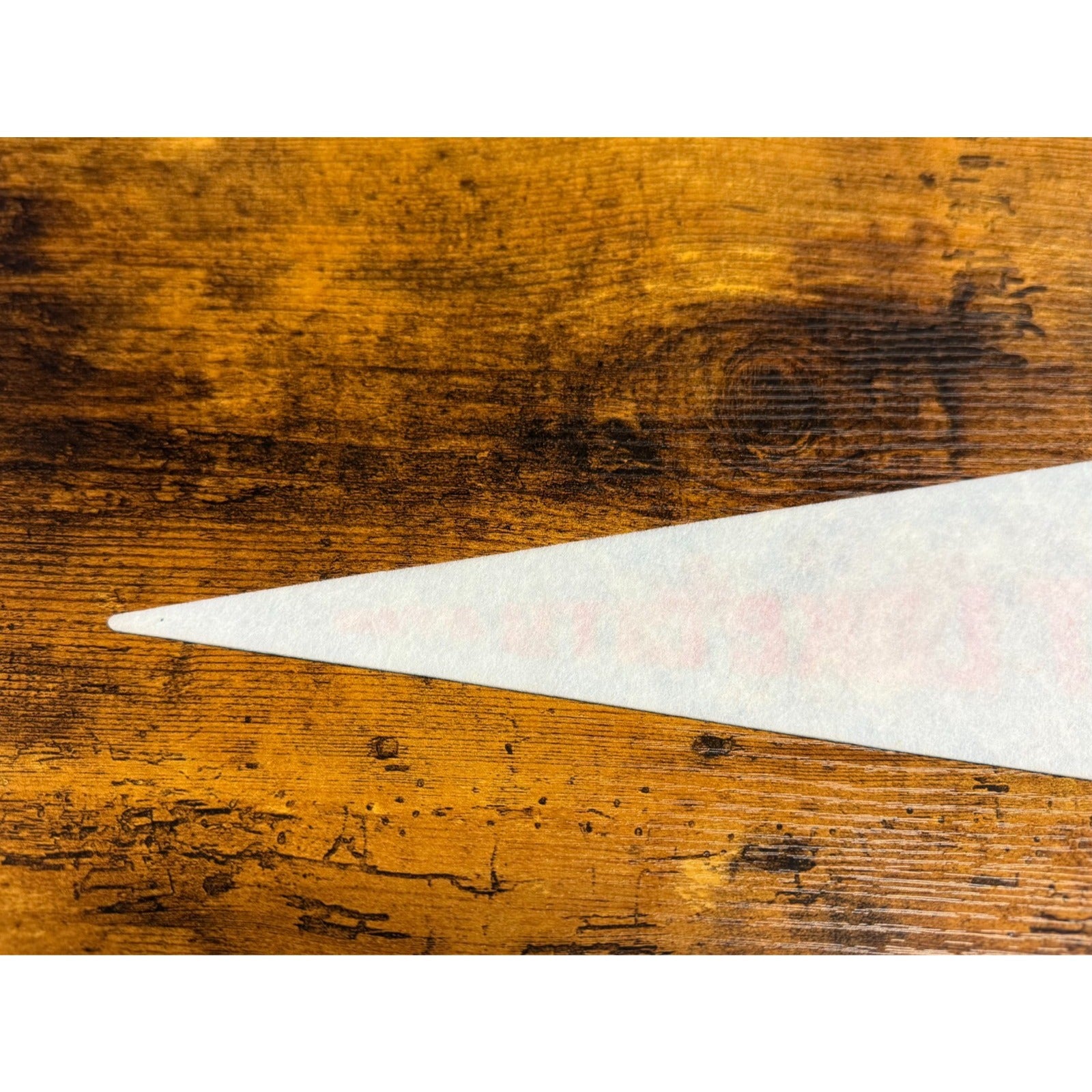 Vintage Salt Lake City, Utah pennant