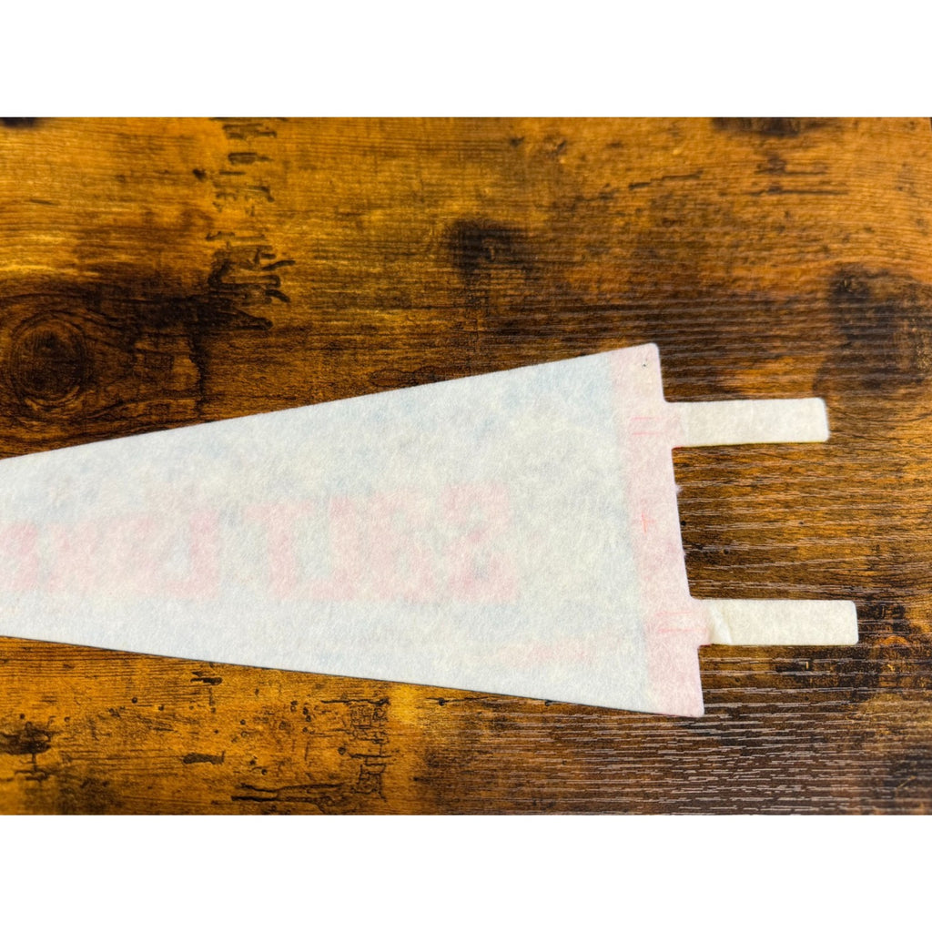 Vintage Salt Lake City, Utah pennant