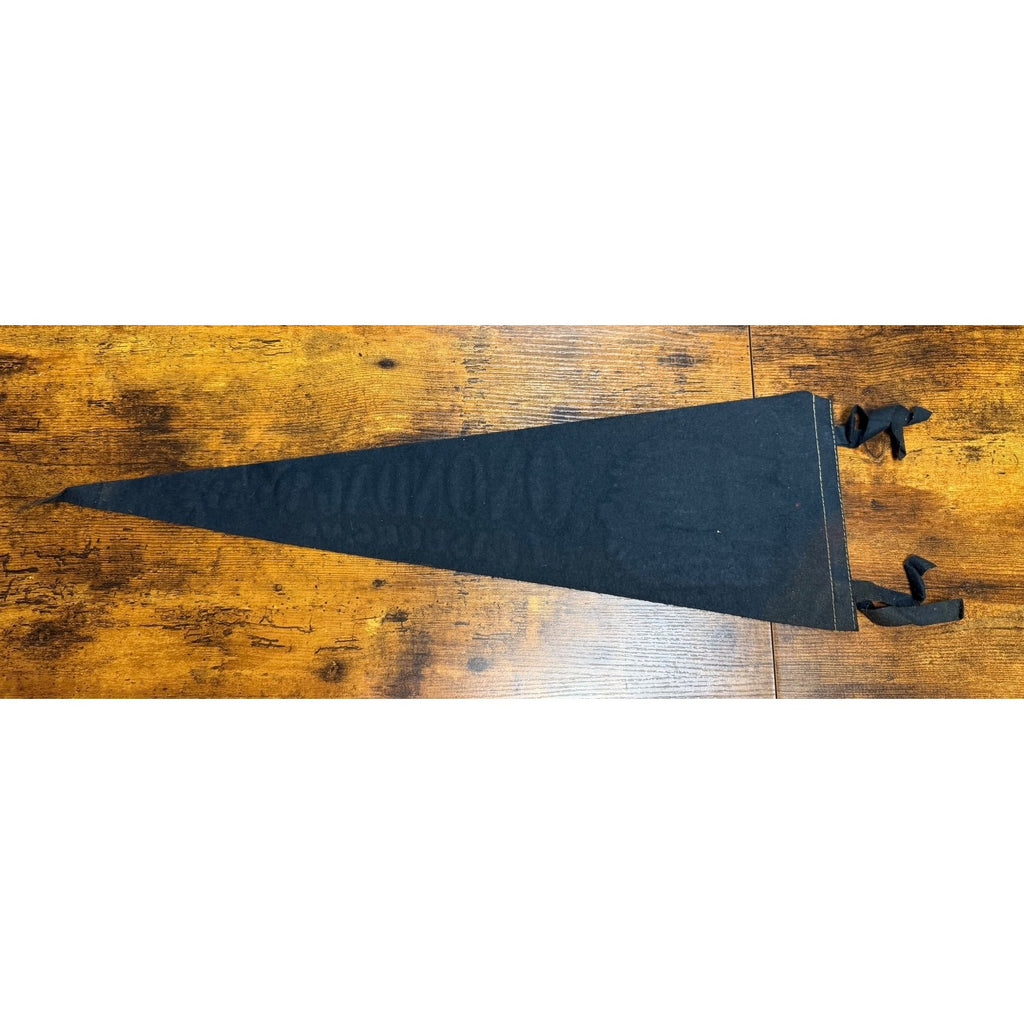 Vintage Onondaga Cave Leasburg, Missouri pennant