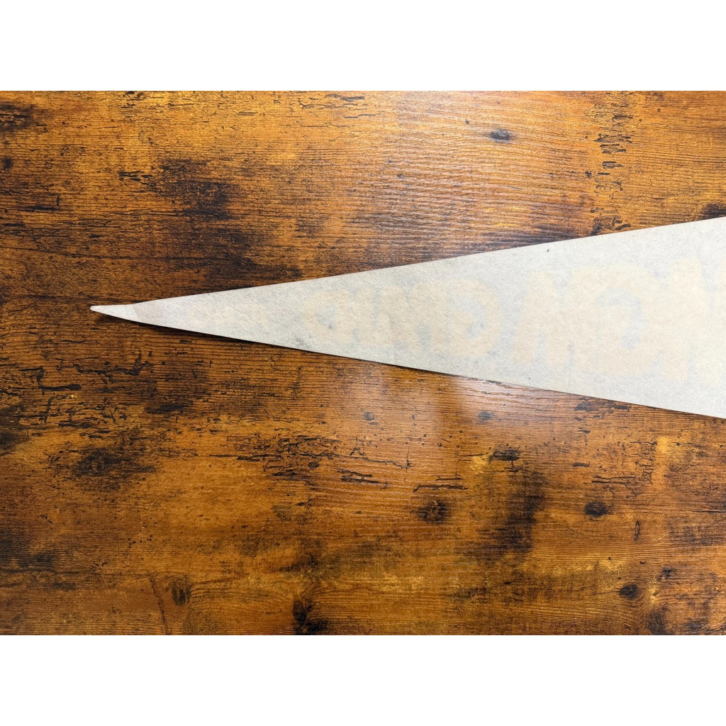 Vintage MGM Grand Reno pennant