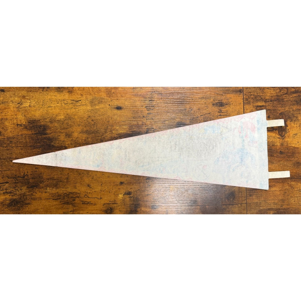 Vintage Lovelock, Nevada pennant