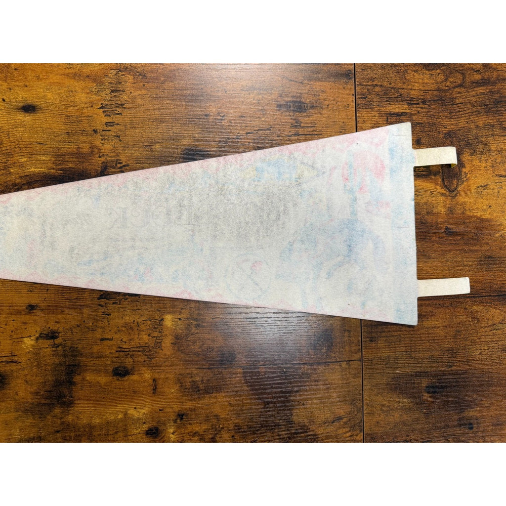 Vintage Lovelock, Nevada pennant