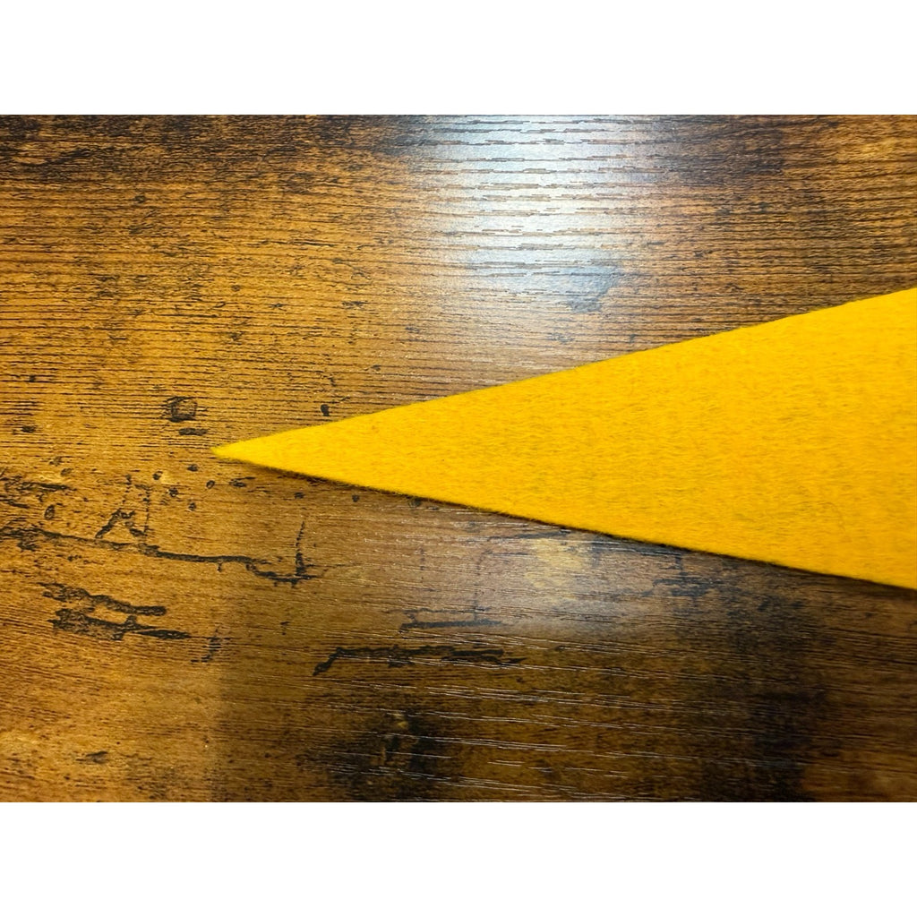 Vintage Empire State Games Syracuse, N.Y. mini pennant