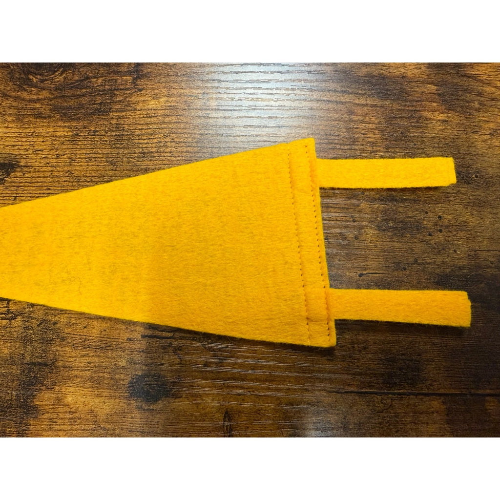 Vintage Empire State Games Syracuse, N.Y. mini pennant