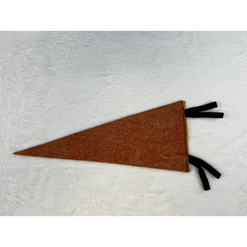 Vintage St. Catharines Canada pennant