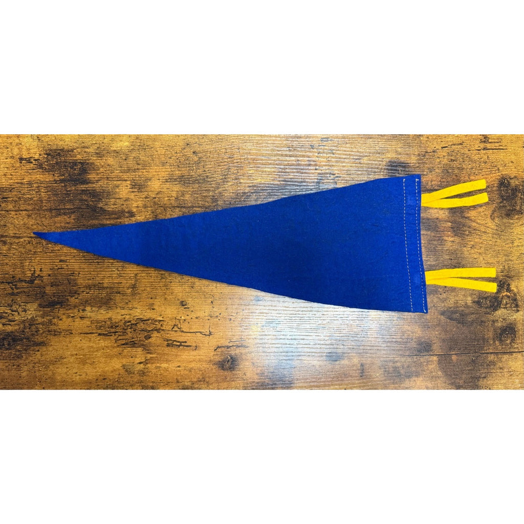 Vintage Mt. Vernon, Virginia pennant