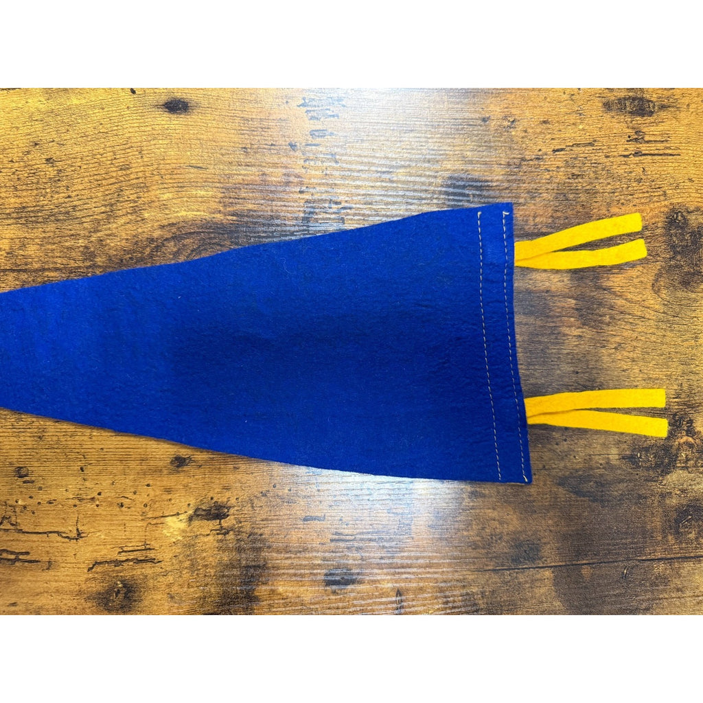 Vintage Mt. Vernon, Virginia pennant
