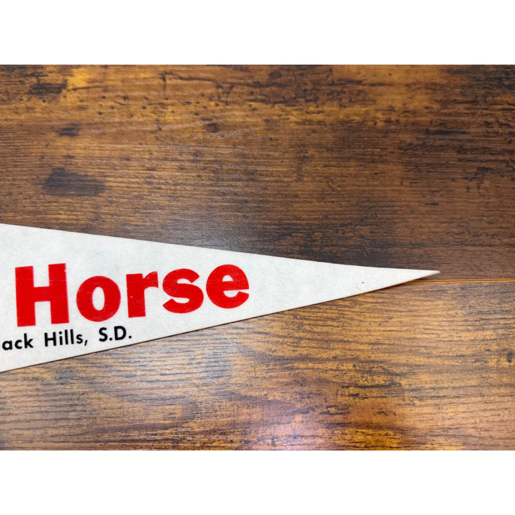 Crazy Horse Black Hills South Dakota Vintage Souvenir Felt Pennant 23.5" Long