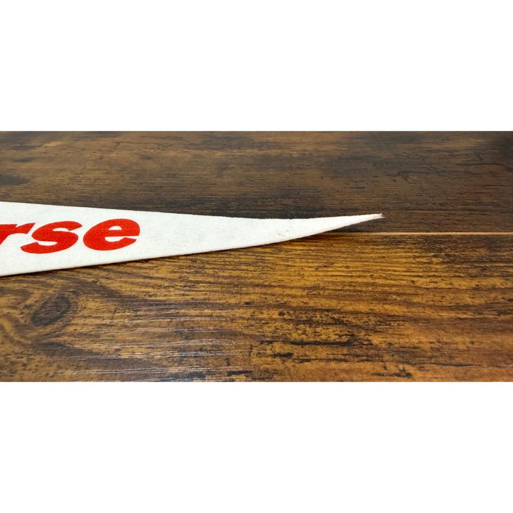 Crazy Horse Black Hills South Dakota Vintage Souvenir Felt Pennant 23.5" Long