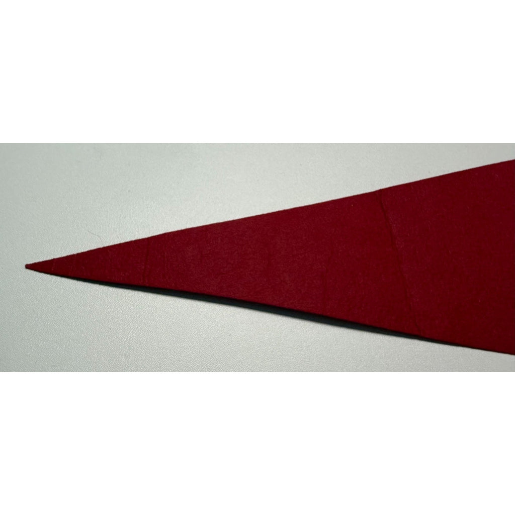 Vintage Hollywood, Florida pennant