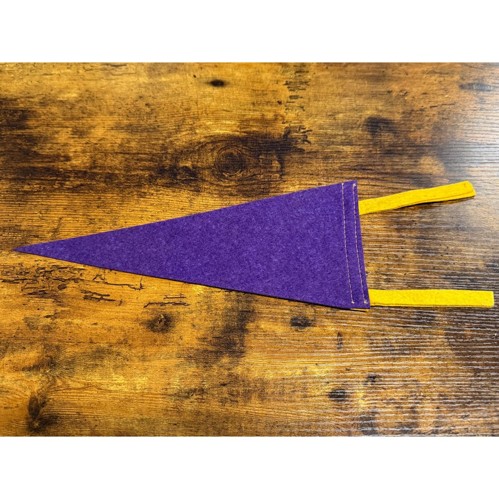 Vintage Niagara Falls pennant