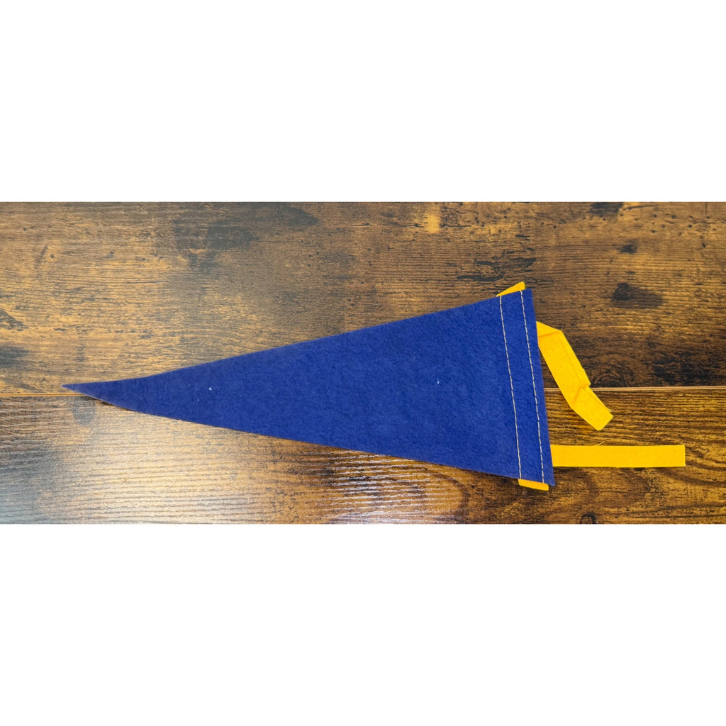 Vintage Williamsburg VA Felt Pennant With Royal Governors Palace Illustration