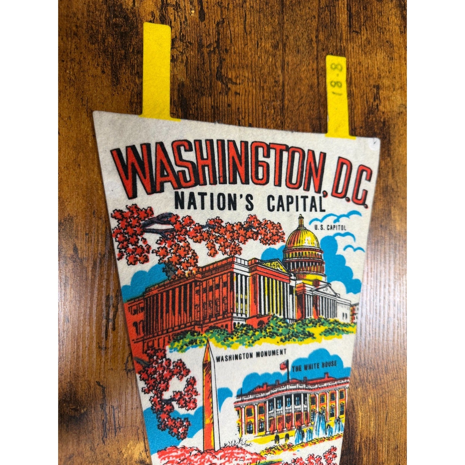 Vintage Washington D.C. pennant