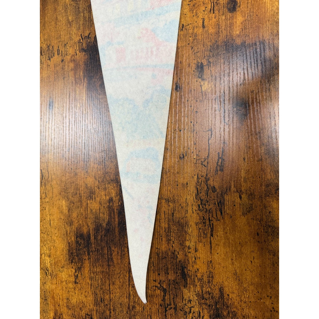 Vintage Washington D.C. pennant
