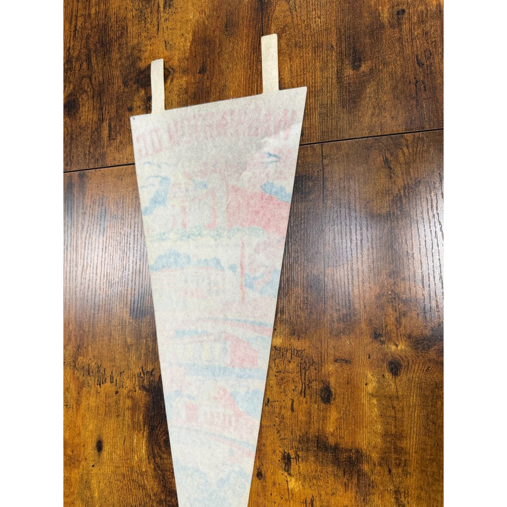 Vintage Washington D.C. pennant