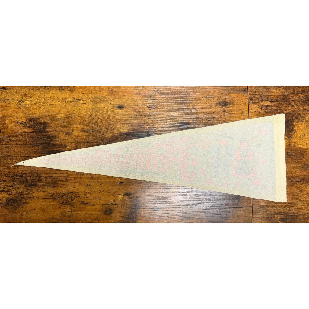Vintage Pennsylvania Amish pennant