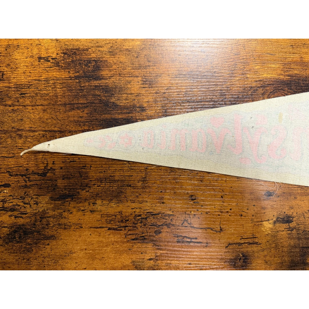 Vintage Pennsylvania Amish pennant