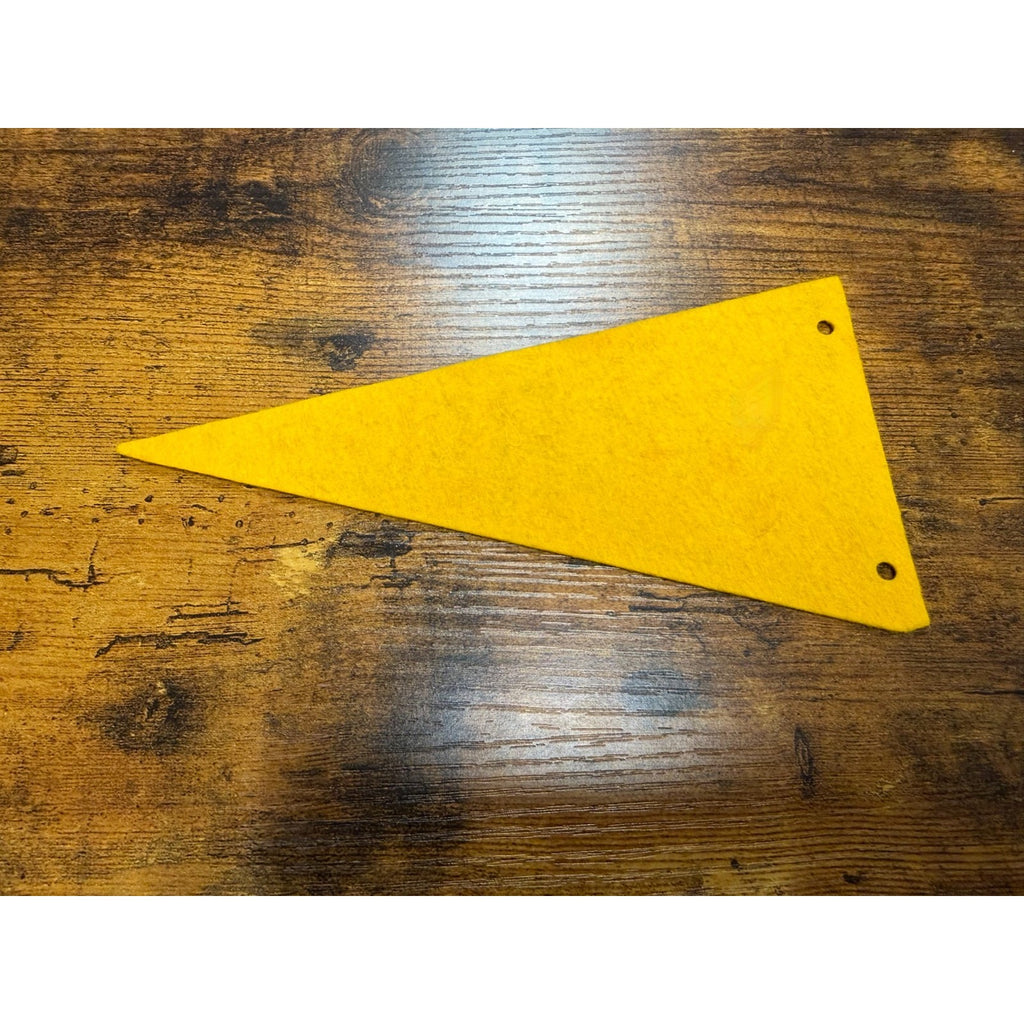 Vintage Florida mini pennant
