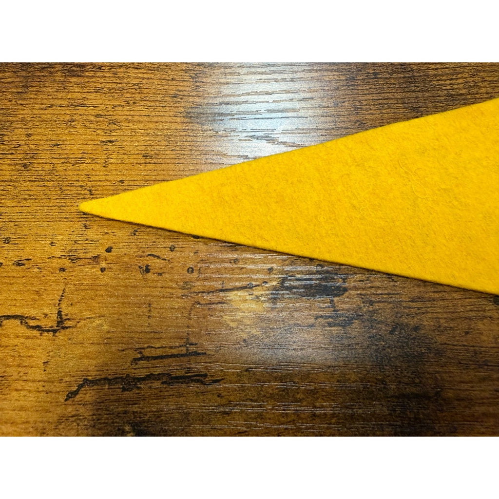 Vintage Florida mini pennant