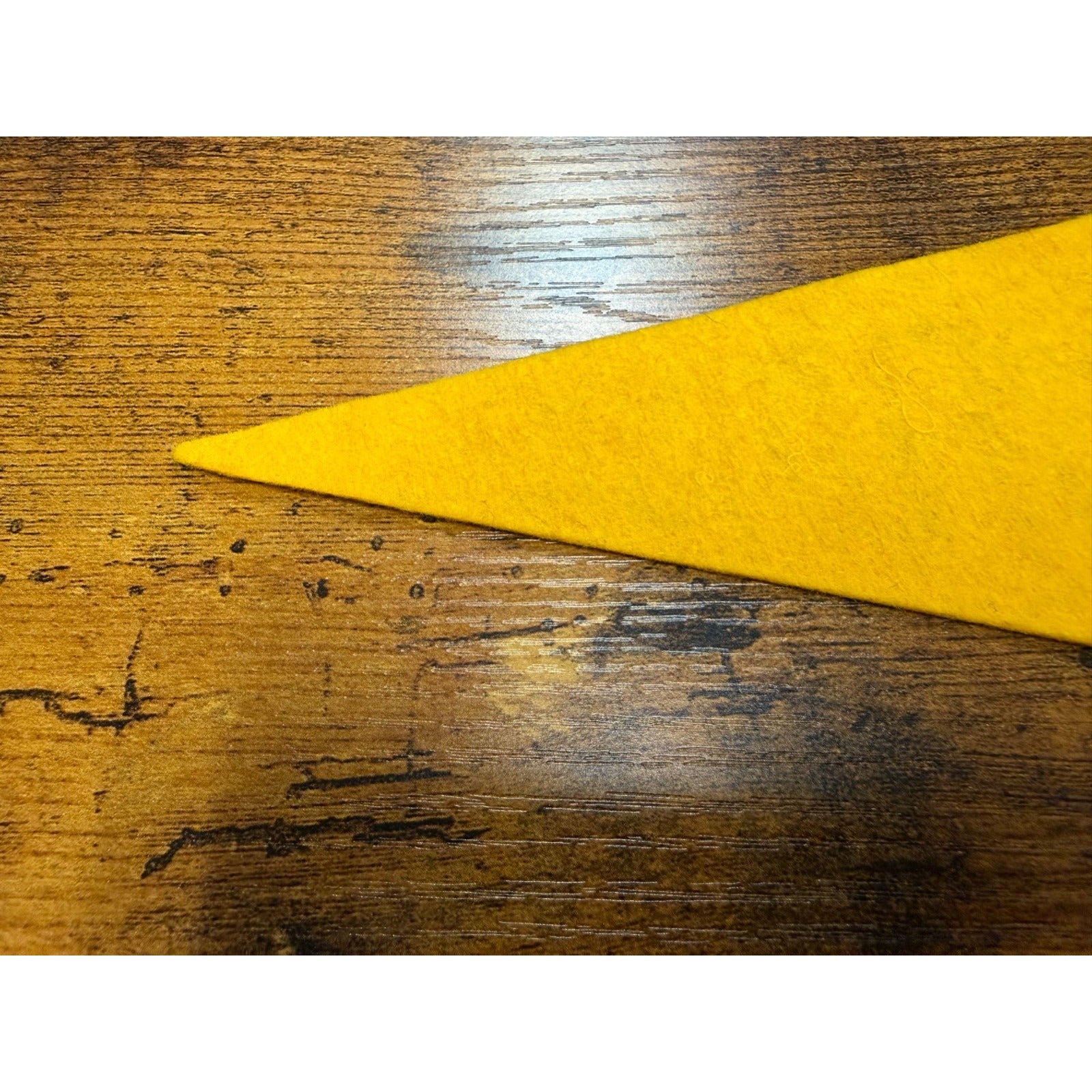 Vintage Florida mini pennant
