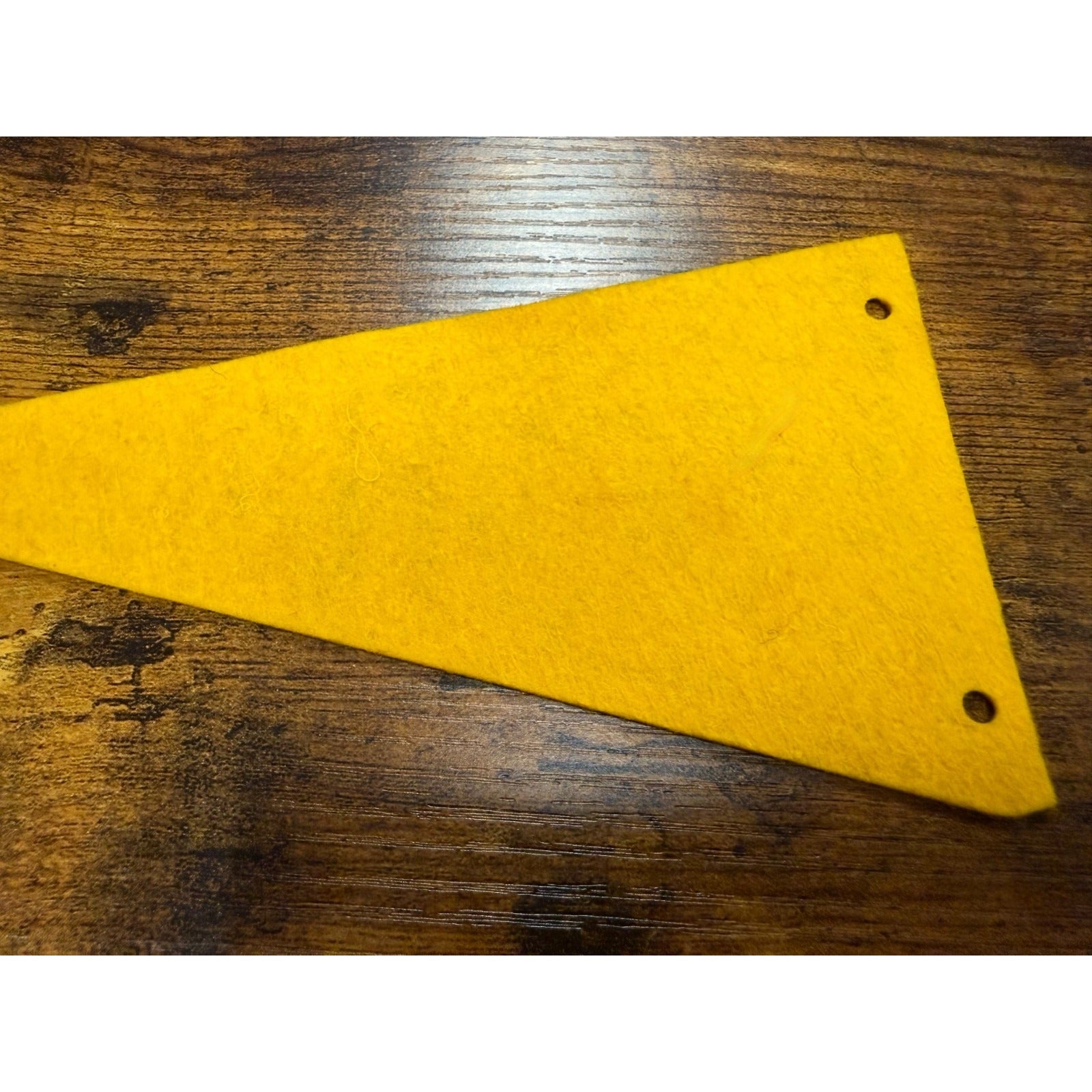 Vintage Florida mini pennant