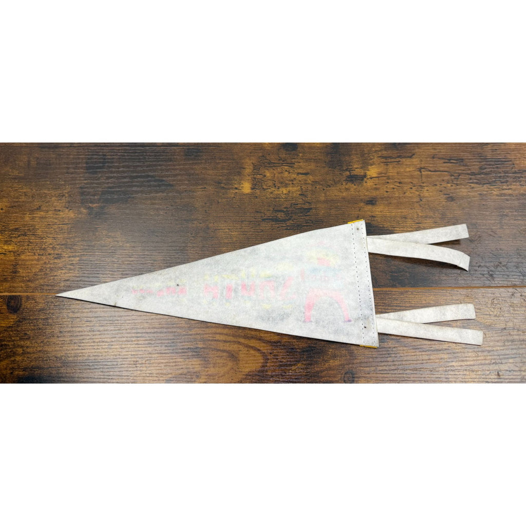 Vintage South of the Border pennant 12 inches