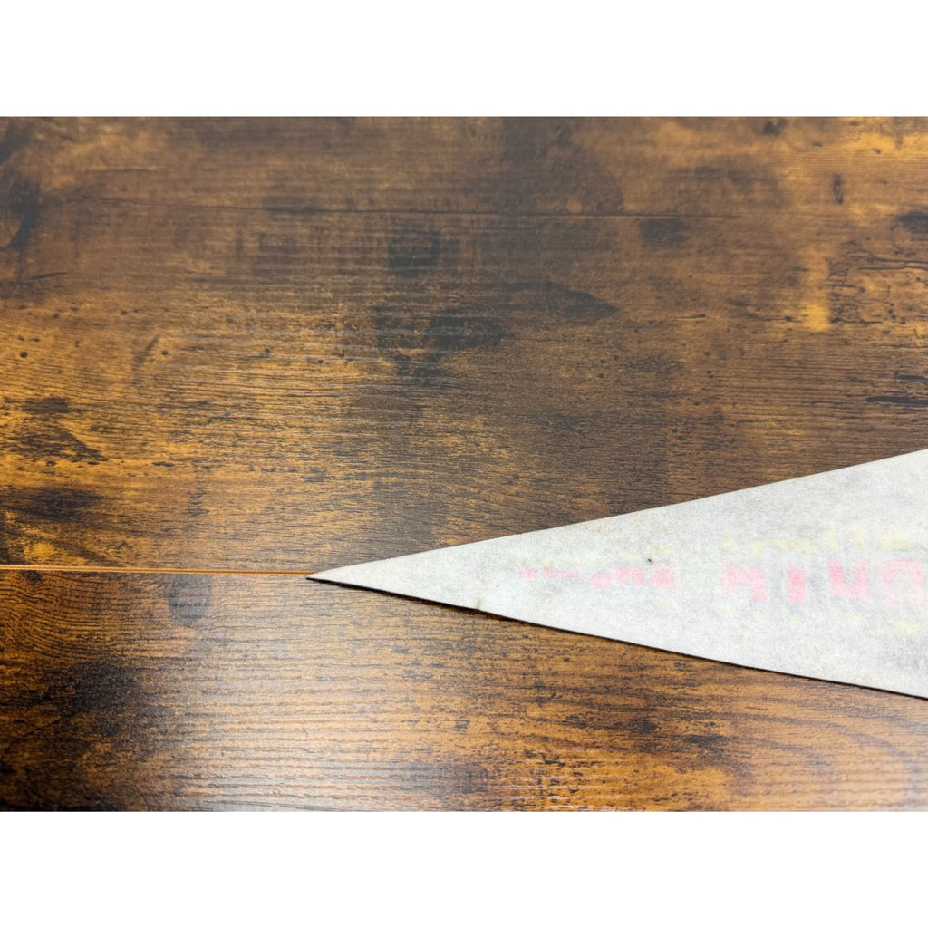 Vintage South of the Border pennant 12 inches